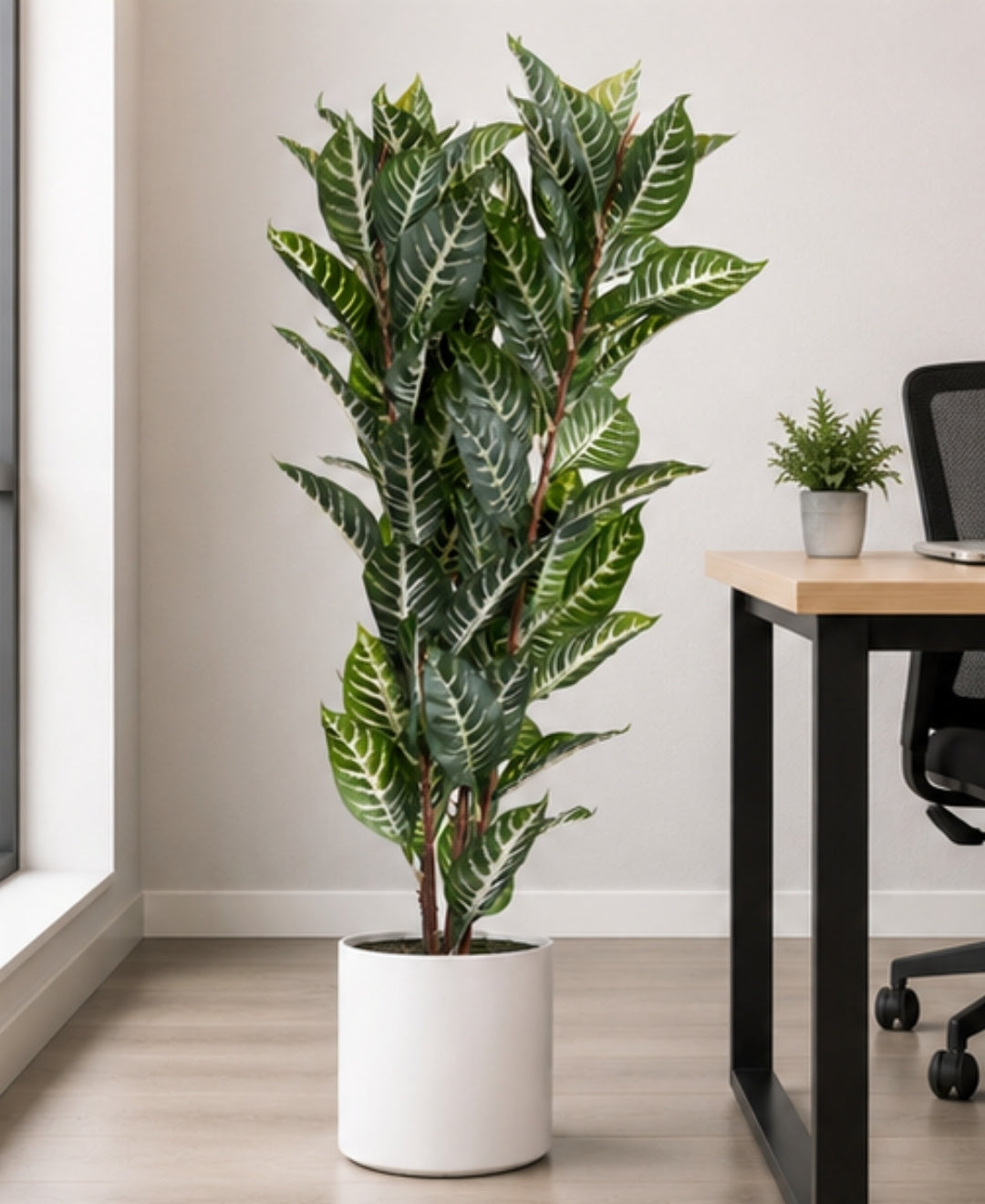 Premium Artificial Dieffenbachia White Green Plant Without Pot