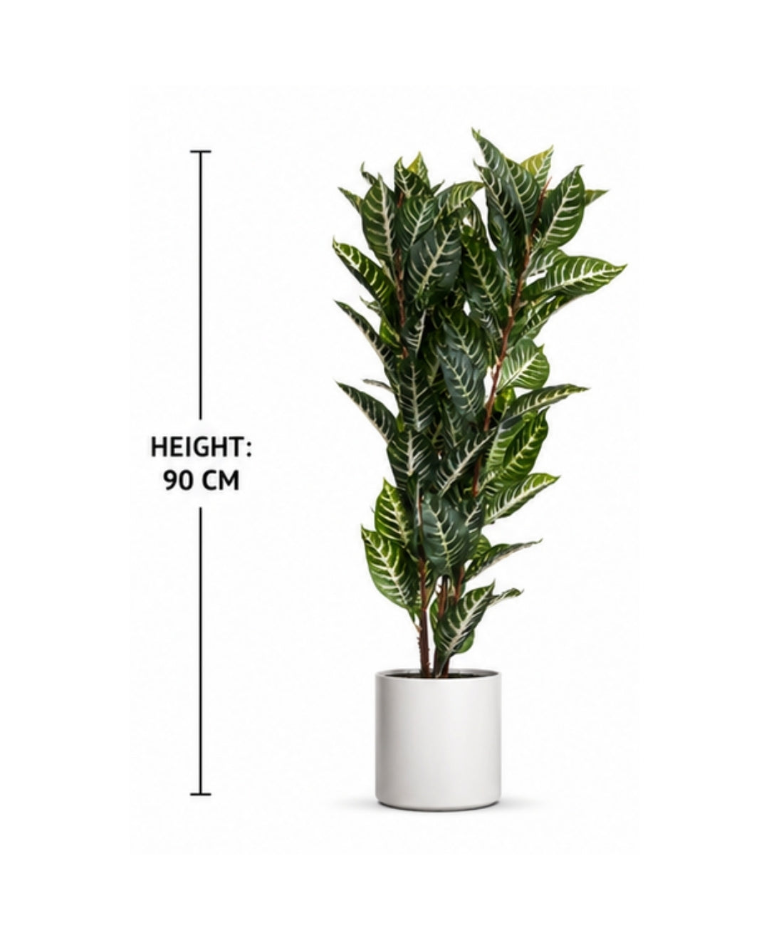 Premium Artificial Dieffenbachia White Green Plant Without Pot