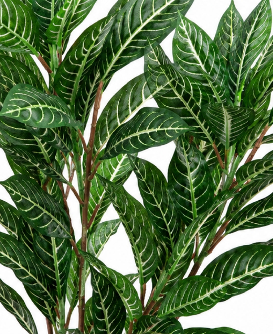 Premium Artificial Dieffenbachia Zebra Plant Without Pot