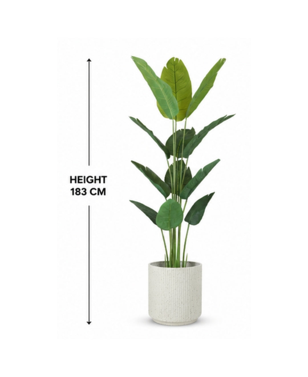 Artificial Traveller Palm Plant - 6 ft With Pot