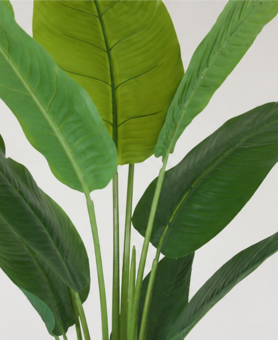 Artificial Traveller Palm Plant - 6 ft With Pot