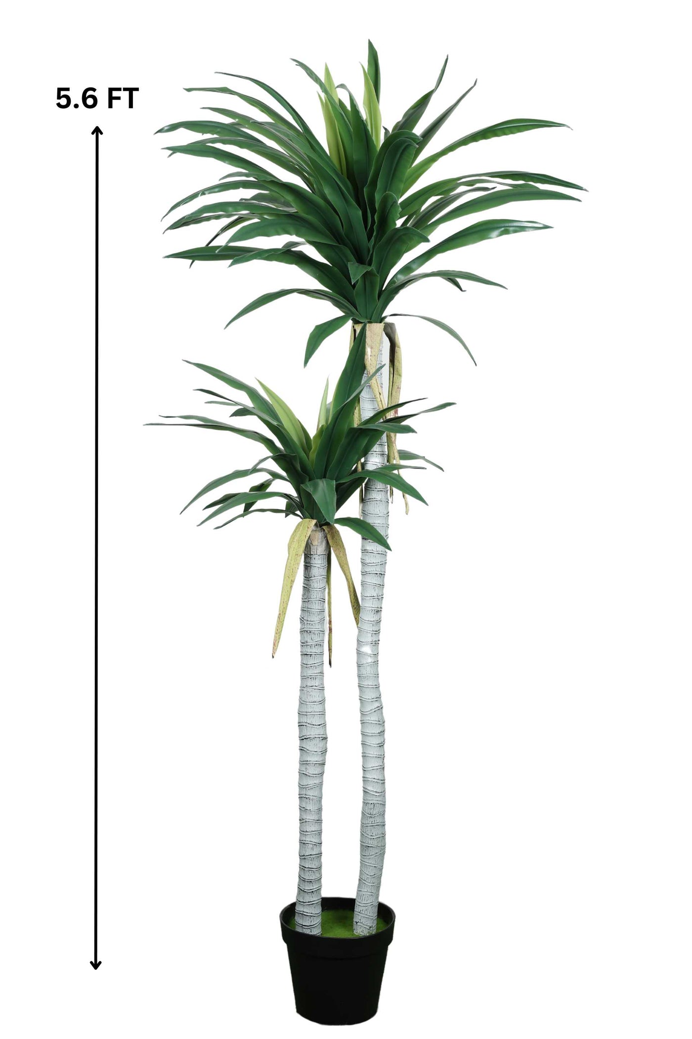 Artificial Yucca Tree With Pot ( Pack 1 ) 5.6 FT