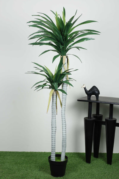 Artificial Yucca Tree With Pot ( Pack 1 ) 5.6 FT