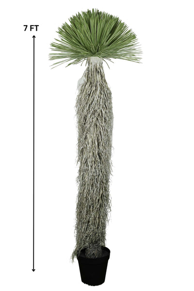 Artificial Dracaena Palm – A Unique Vertical Accent - 7 FT