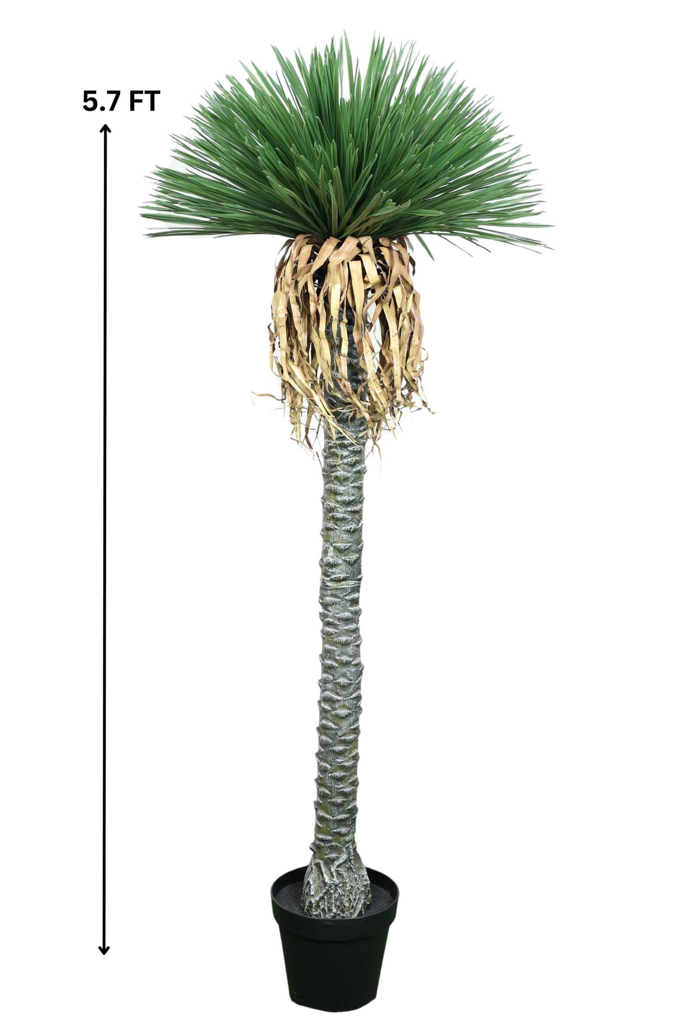 Artificial Dracaena Palm – A Unique Vertical Accent - 5.7 FT