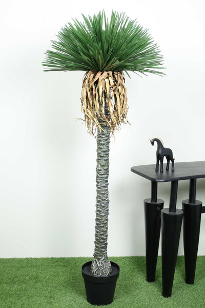 Artificial Dracaena Palm – A Unique Vertical Accent - 5.7 FT