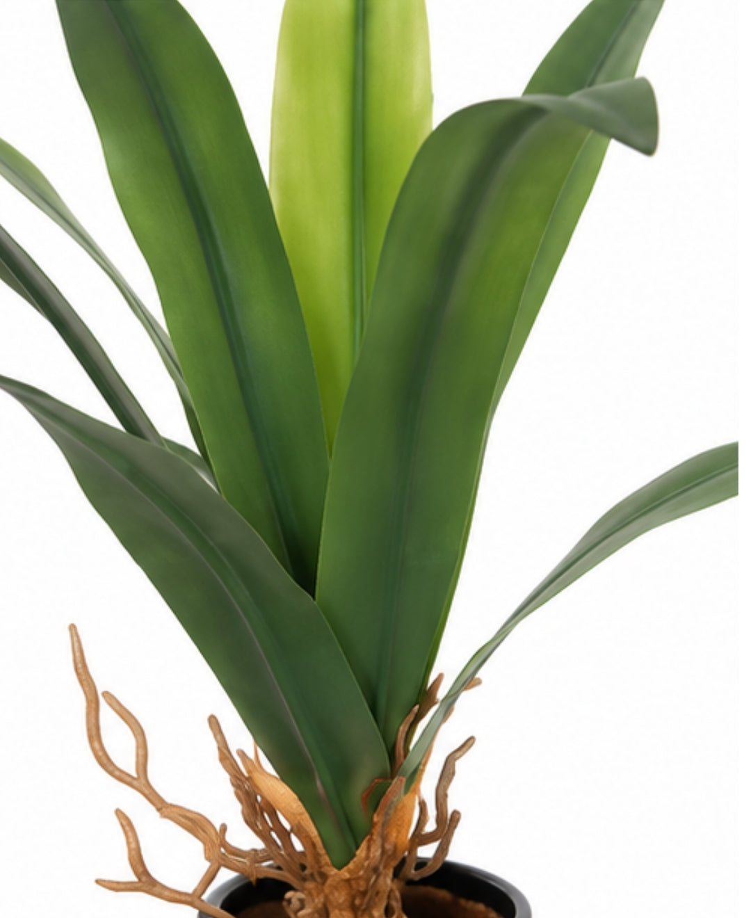 Premium Real Touch Artificial Agave Succulent Plant Without Pot - 1ft