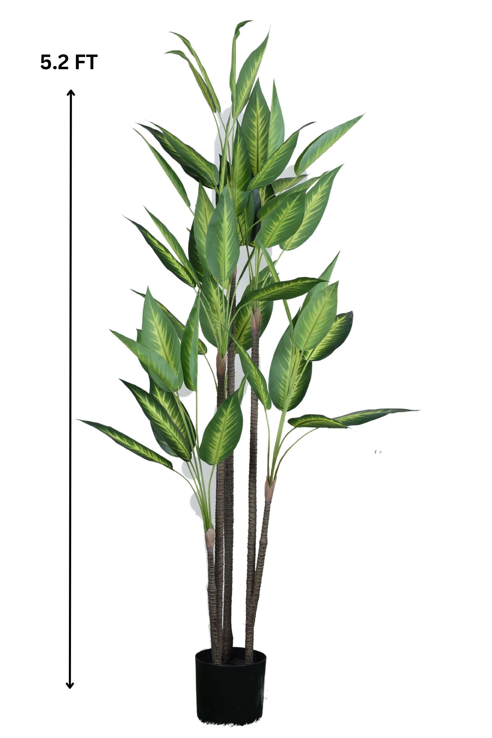 Tall Artificial Dieffenbachia Plant With Pot ( Pack Of 1 ) - 5.2 Ft