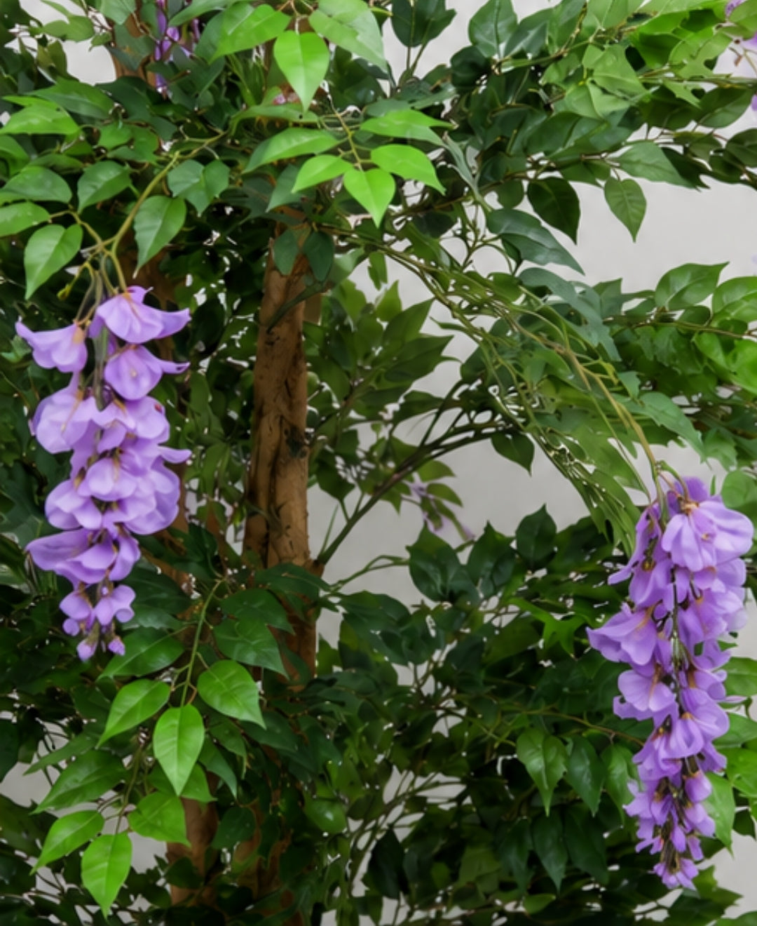 Premium Artificial Lavender Wisteria Flowering Tree Without Pot - 7FT