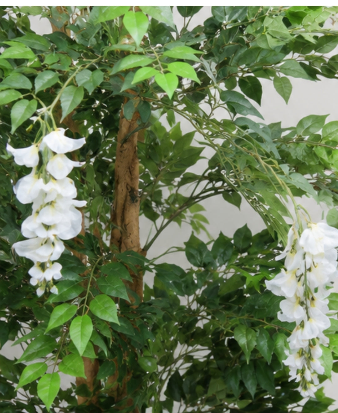 Premium Artificial White Wisteria Flowering Tree Without Pot - 7FT