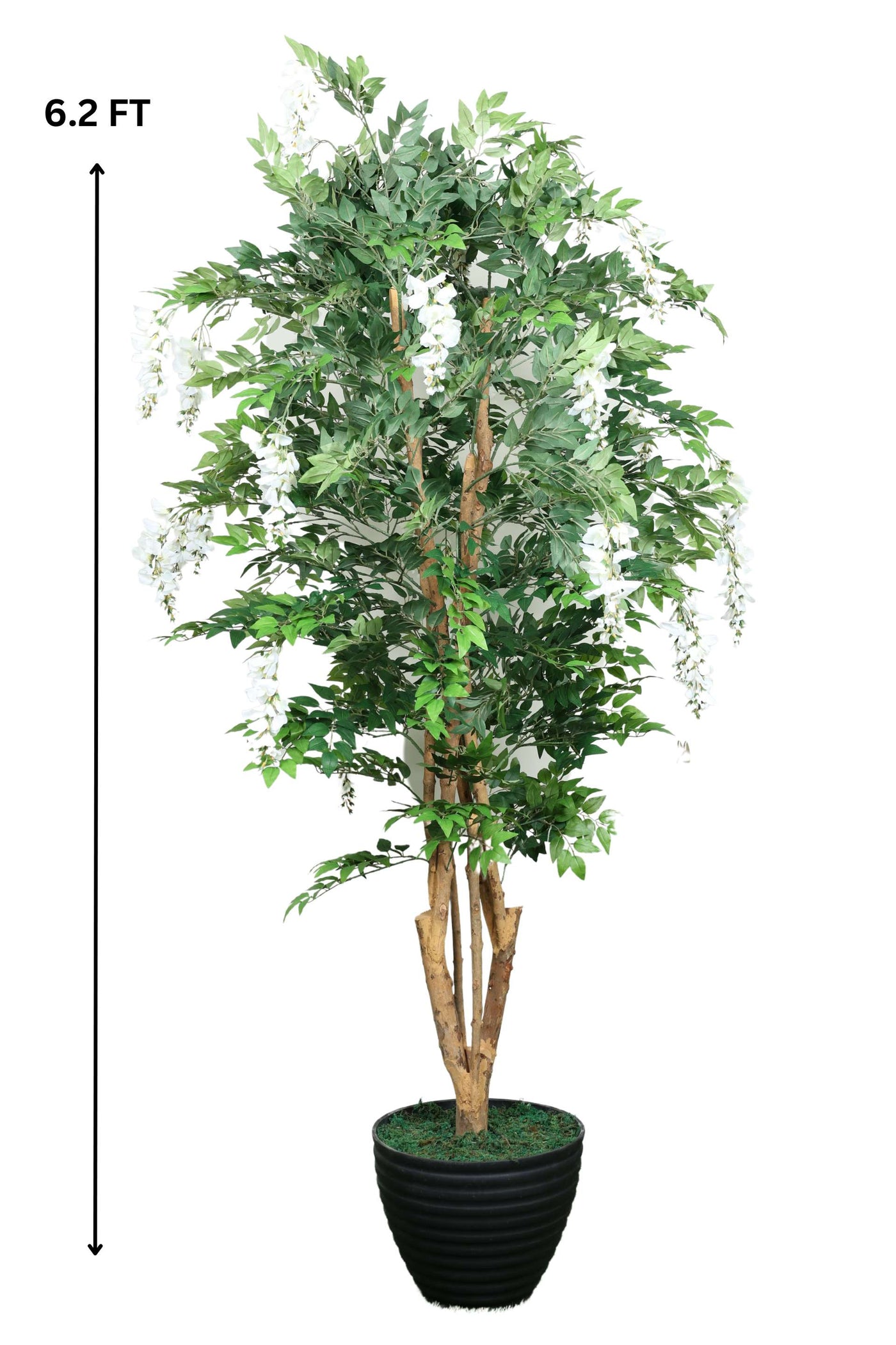 Artificial Wisteria Tree Without Pot ( Pack Of 1 ) - 6.2 Ft