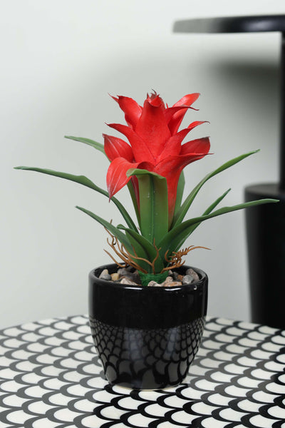 Artificial Bromeliad Guzmania Bonsai