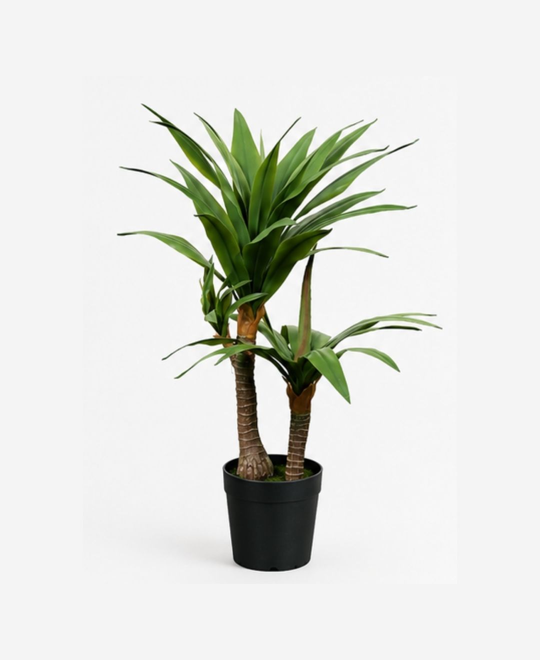 Premium Artificial Green Yucca Plant With Pot - 2.5 FT