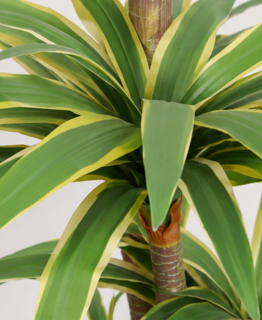 Superior Artificial Yucca Cane White Green Plant With Pot