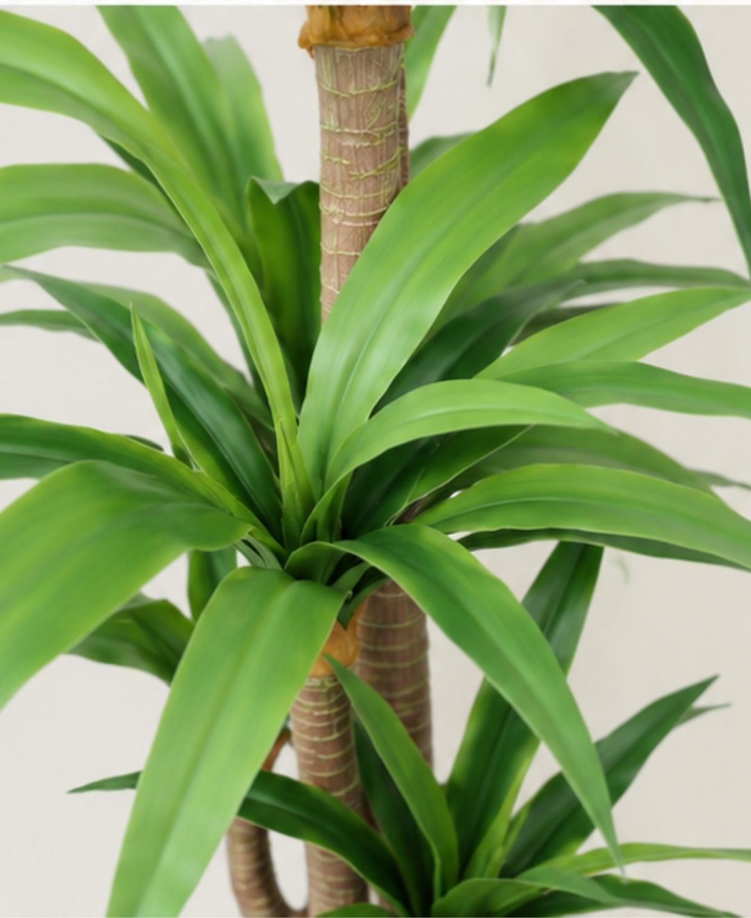 Deluxe Artificial Green Yucca Plant With Pot -6FT