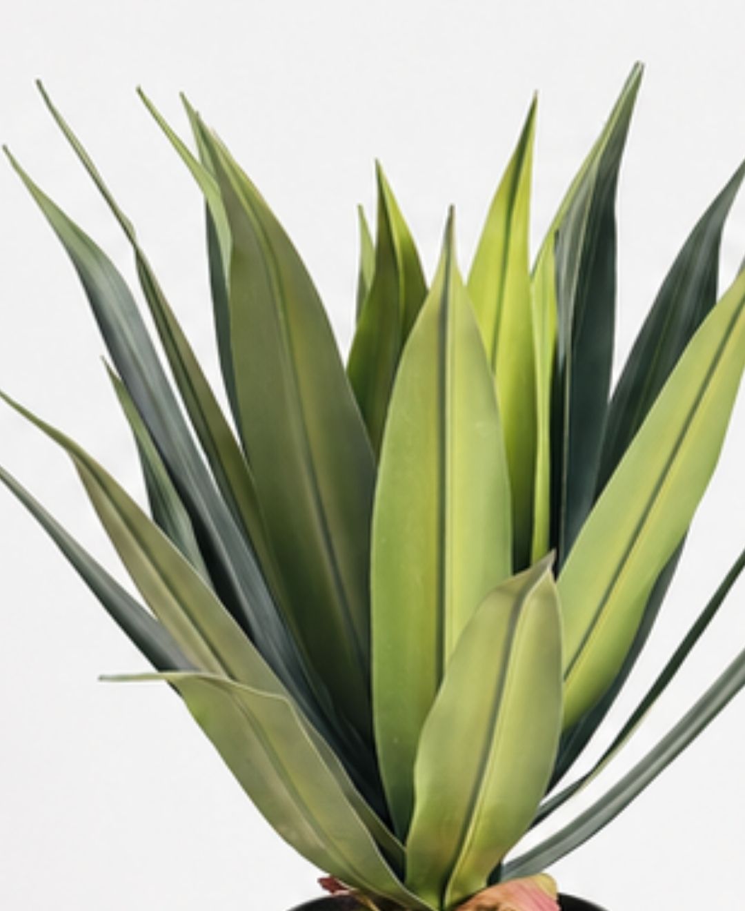 Compact Artificial Agave Plant With Pot- 1.8FT