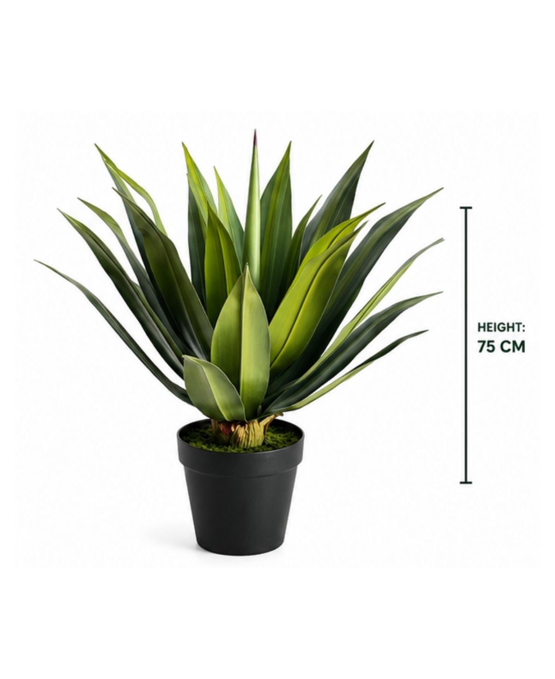 Premium Artificial Agave Succulent Plant- 2.5FT With Pot