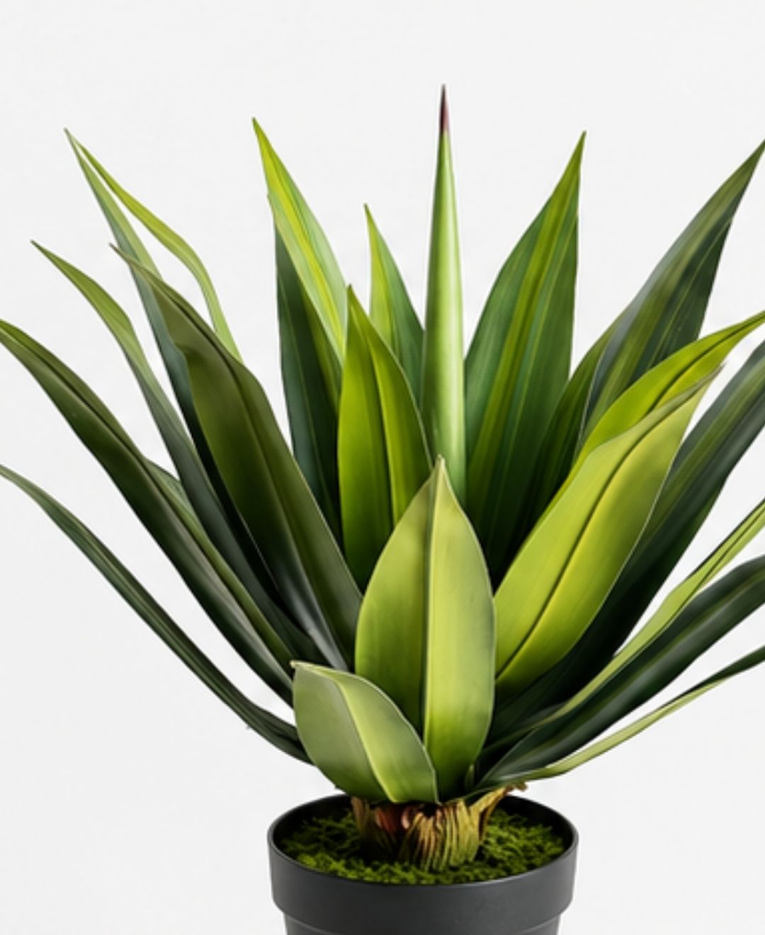 Premium Artificial Agave Succulent Plant- 2.5FT With Pot
