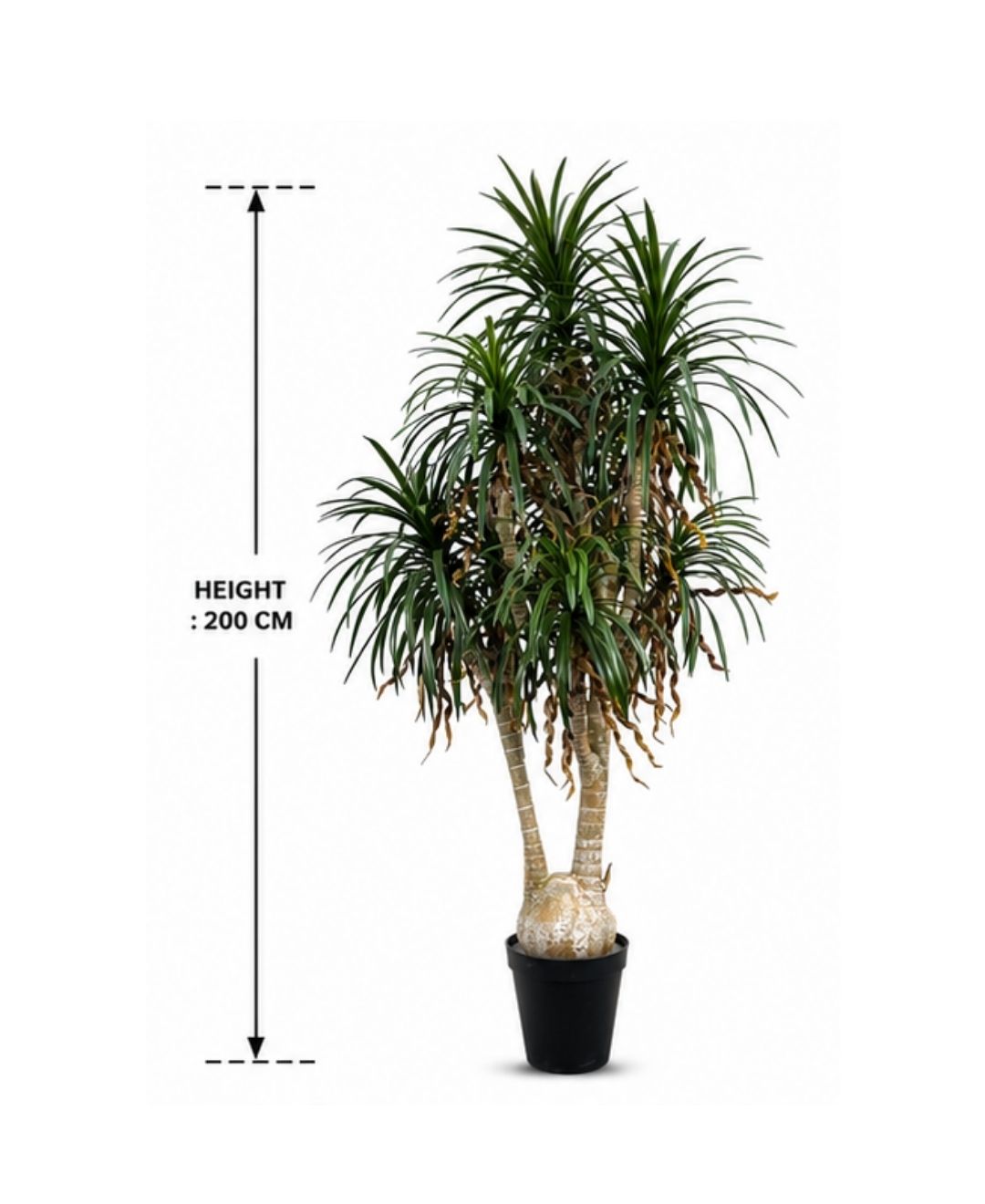 Luxe Dragon Tree Faux Plant With Pot-6.5FT