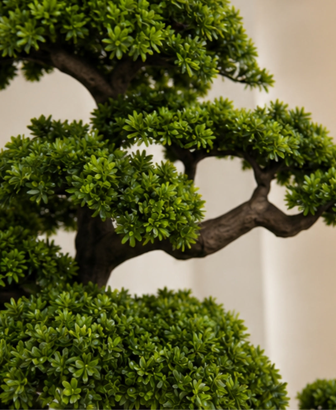 Premium Artificial Bonsai Tree with Curved Sculpted Trunk Without Pot