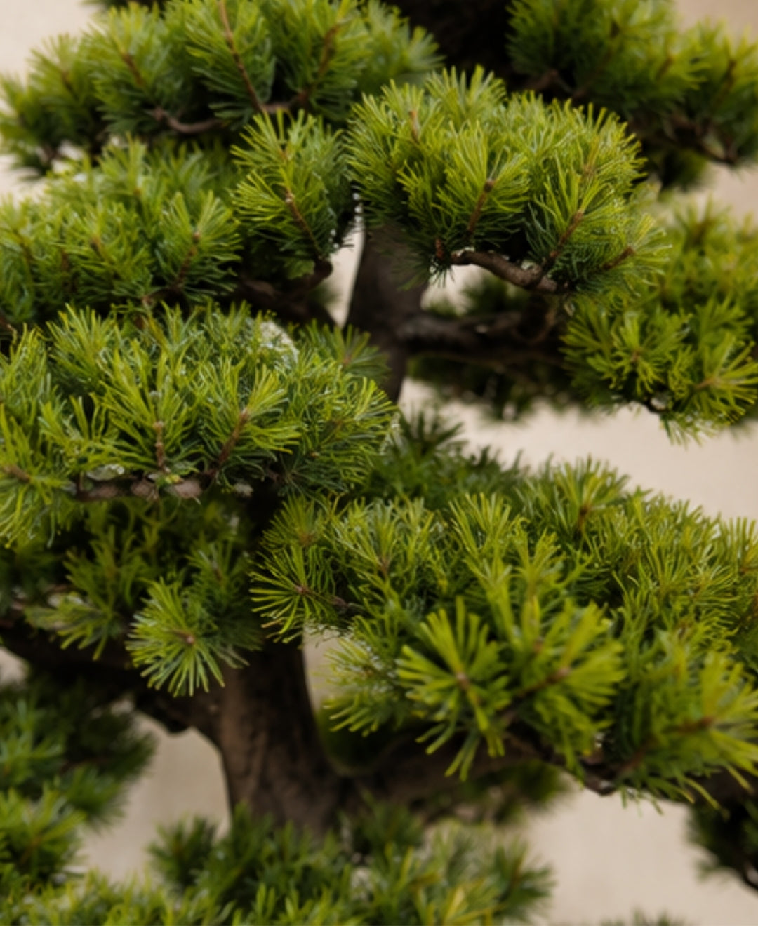 Luxury Artificial Twin‑Trunk Bonsai Tree Without Pot
