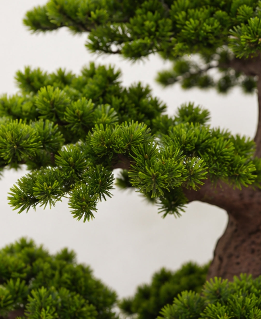 Premium Artificial Japanese Bonsai Tree with Exposed Root Base Without Pot