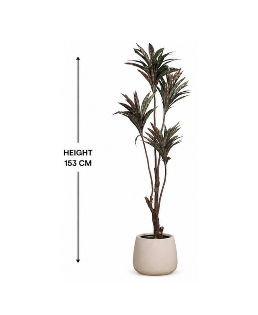 Premium Artificial Brown Dracaena Tree Without Pot - 4.5 FT
