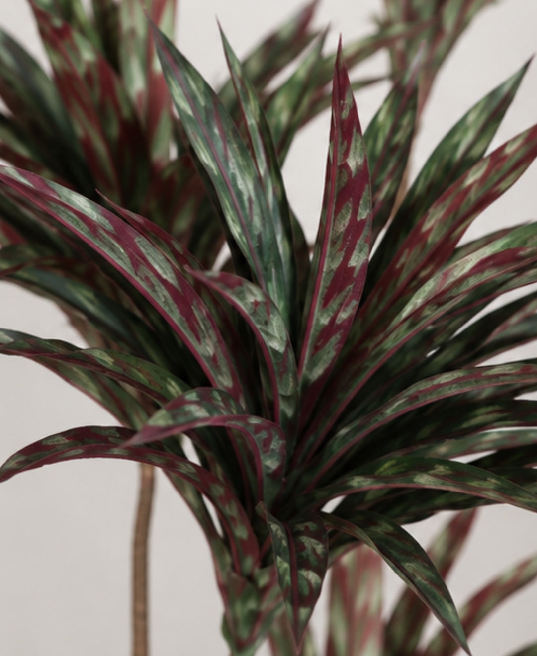 Premium Artificial Brown Dracaena Tree Without Pot - 4.5 FT