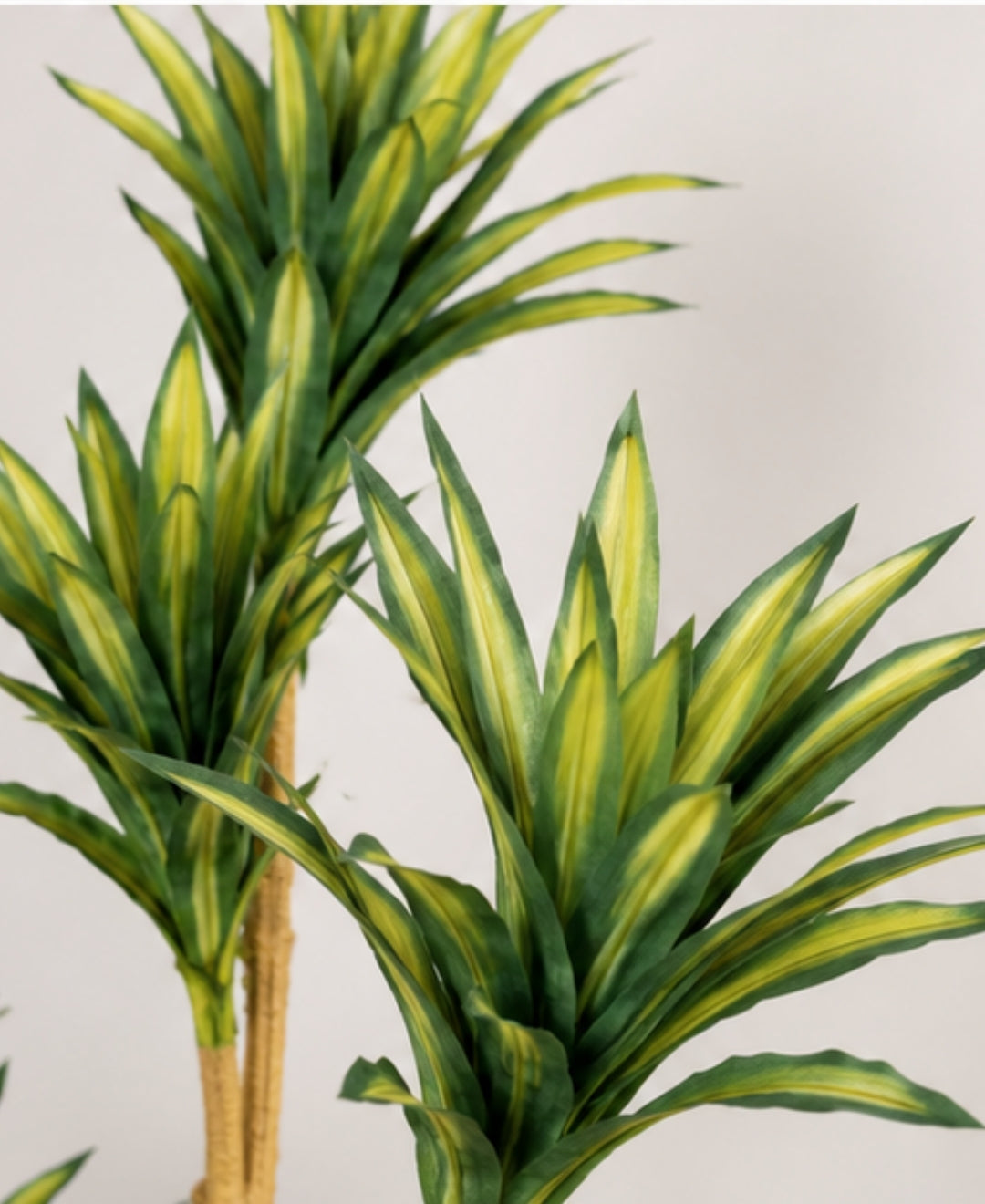 Premium Artificial Green Dracaena Tree Without Pot - 4.5 FT