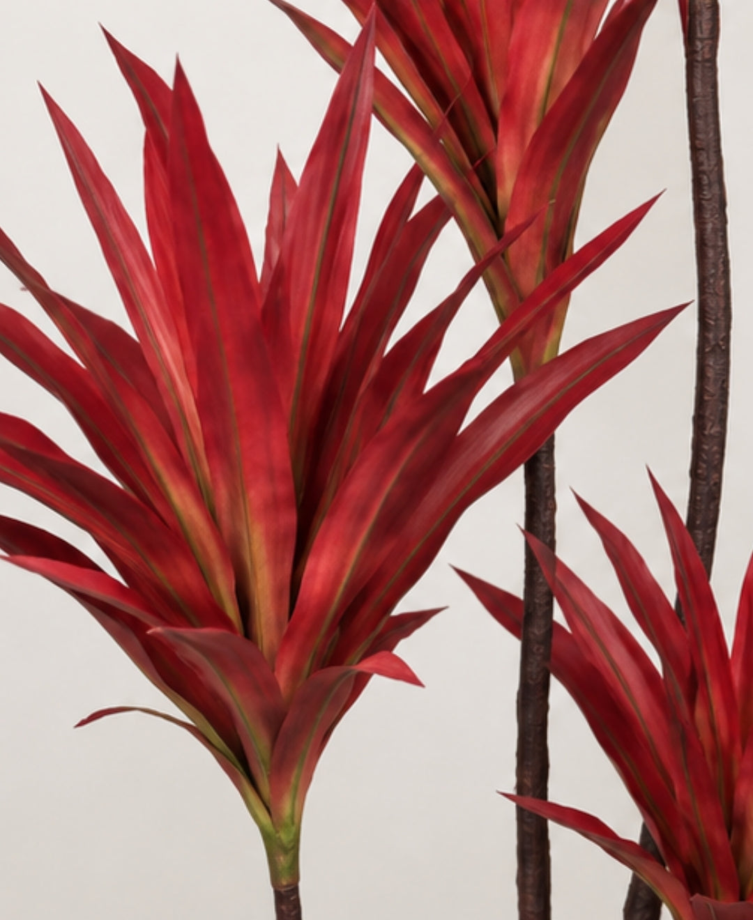Premium Artificial Red Dracaena Tree Without Pot- 4.5 FT