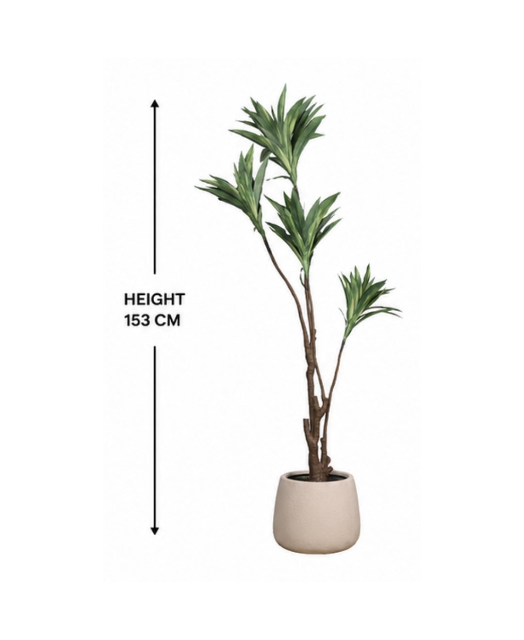 Premium Artificial White Green Dracaena Tree Without Pot - 4.5 FT
