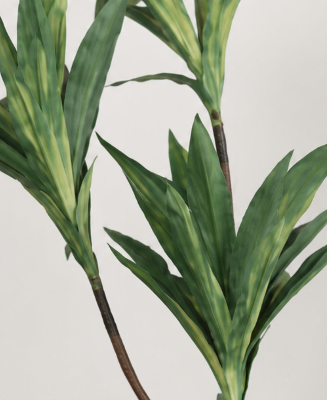 Premium Artificial White Green Dracaena Tree Without Pot - 4.5 FT