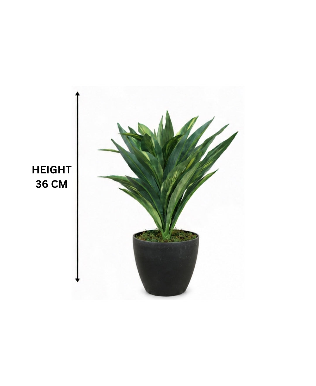 Premium Artificial Dracaena Compacta Green Plant Without Pot