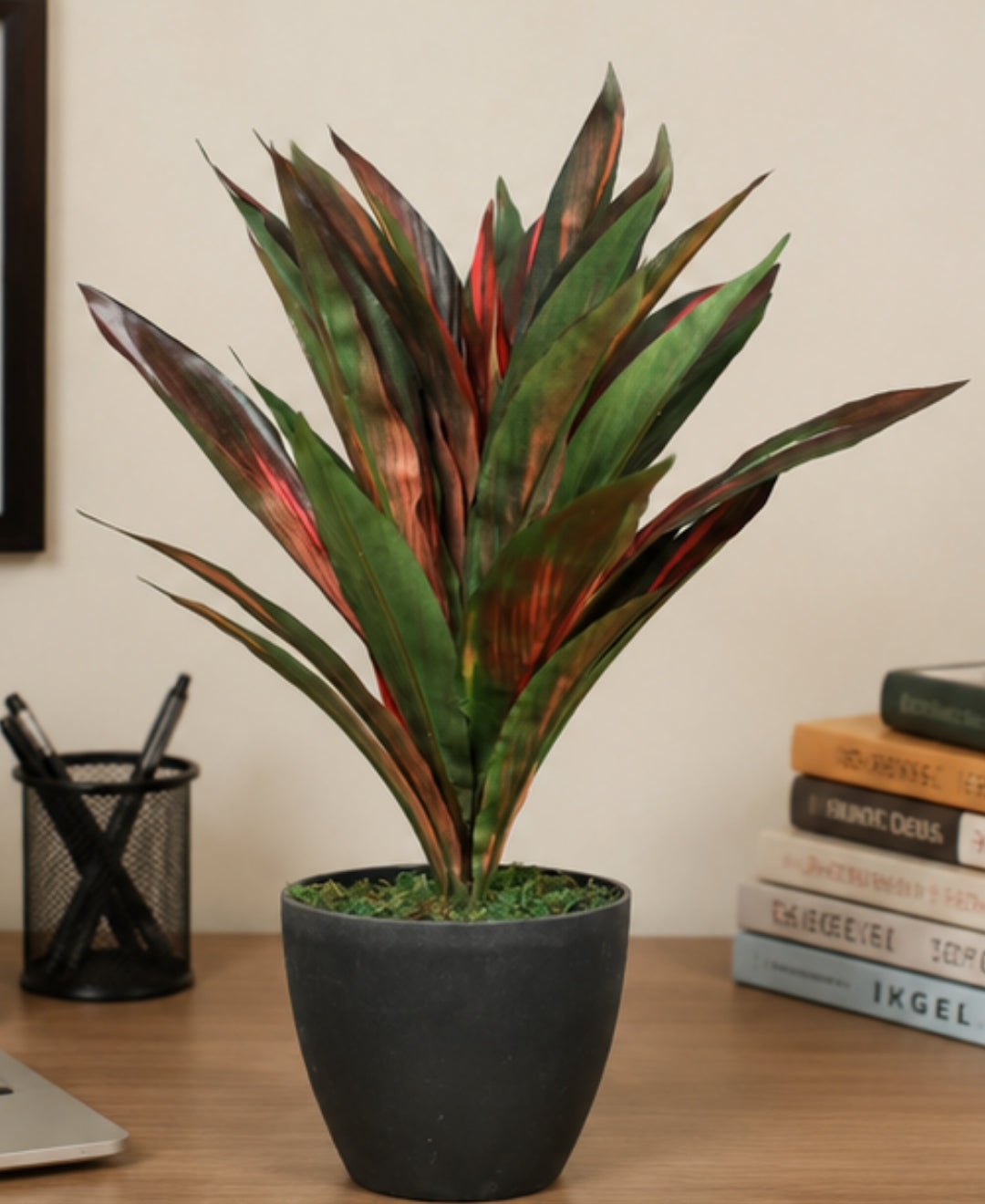 Premium Artificial Dracaena Compacta Red Green Plant