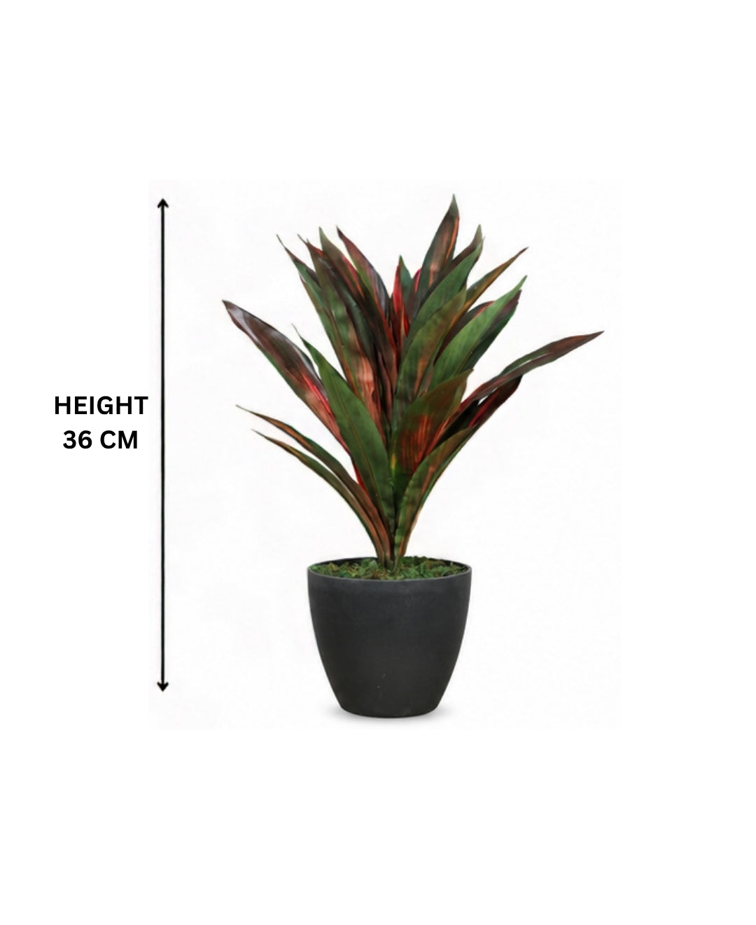 Premium Artificial Dracaena Compacta Red Green Plant