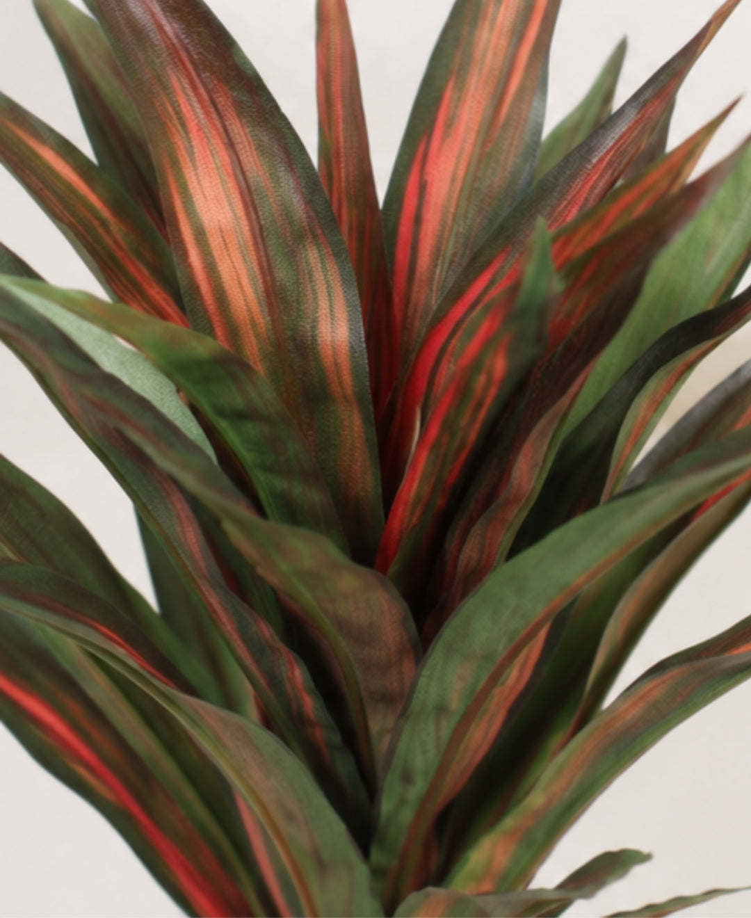 Premium Artificial Dracaena Compacta Red Green Plant