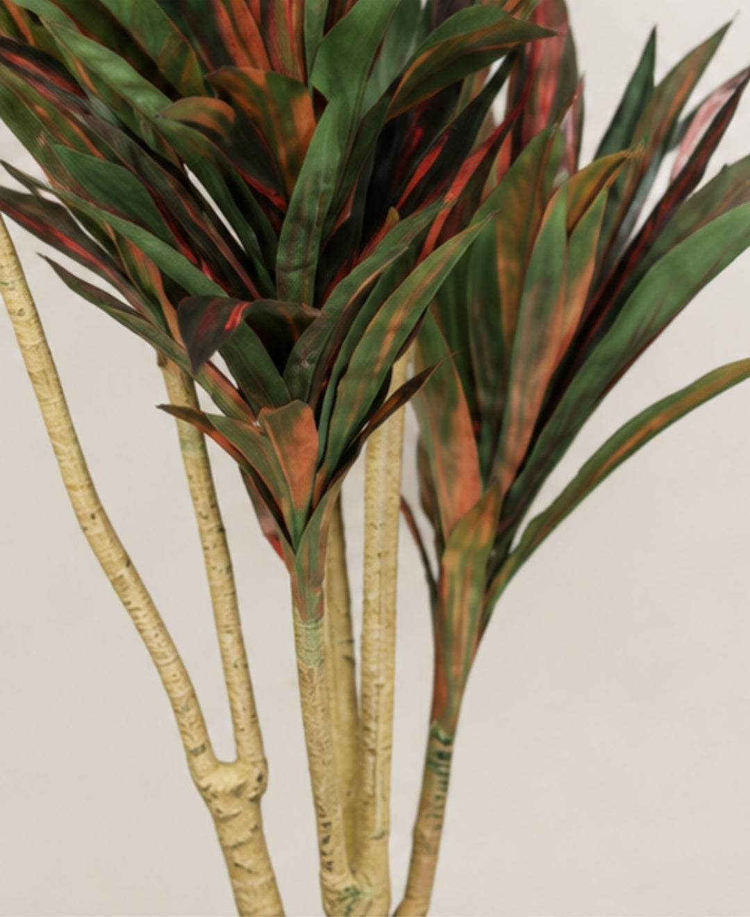 Elegant Faux Dracaena Red Green Indoor Plant Without Pot