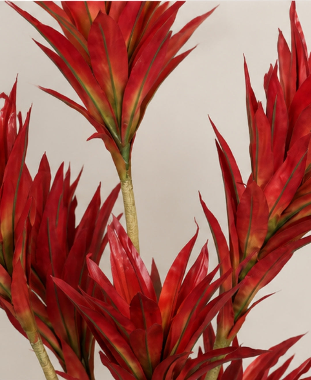 Elegant Faux Dracaena Red Indoor Plant Without Pot