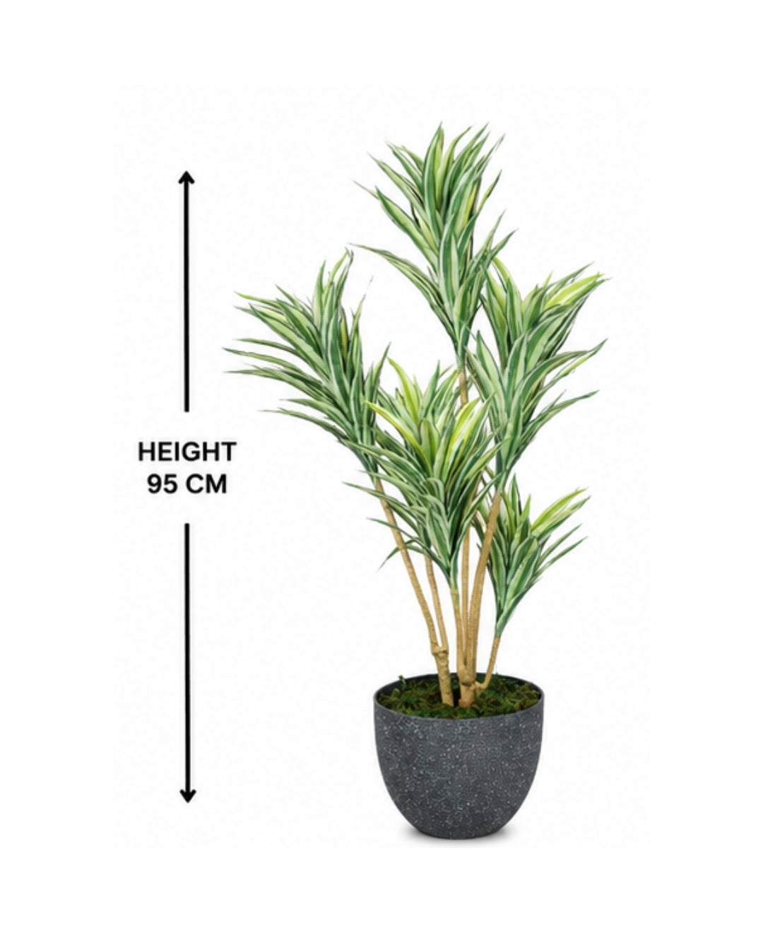 Elegant Faux Dracaena White Green Indoor Plant Without Pot