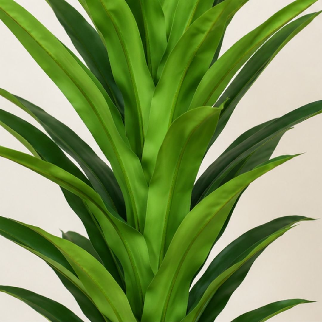 Artificial Dracaena Green Plant (Corn Plant) Without Pot