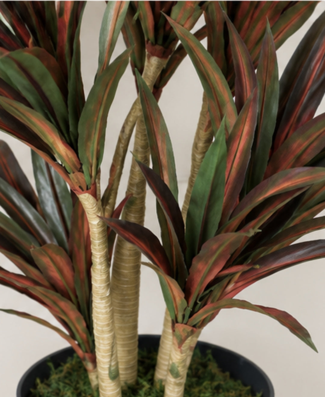 Majestic Faux Red Green Dracaena Cane Plant Without Pot