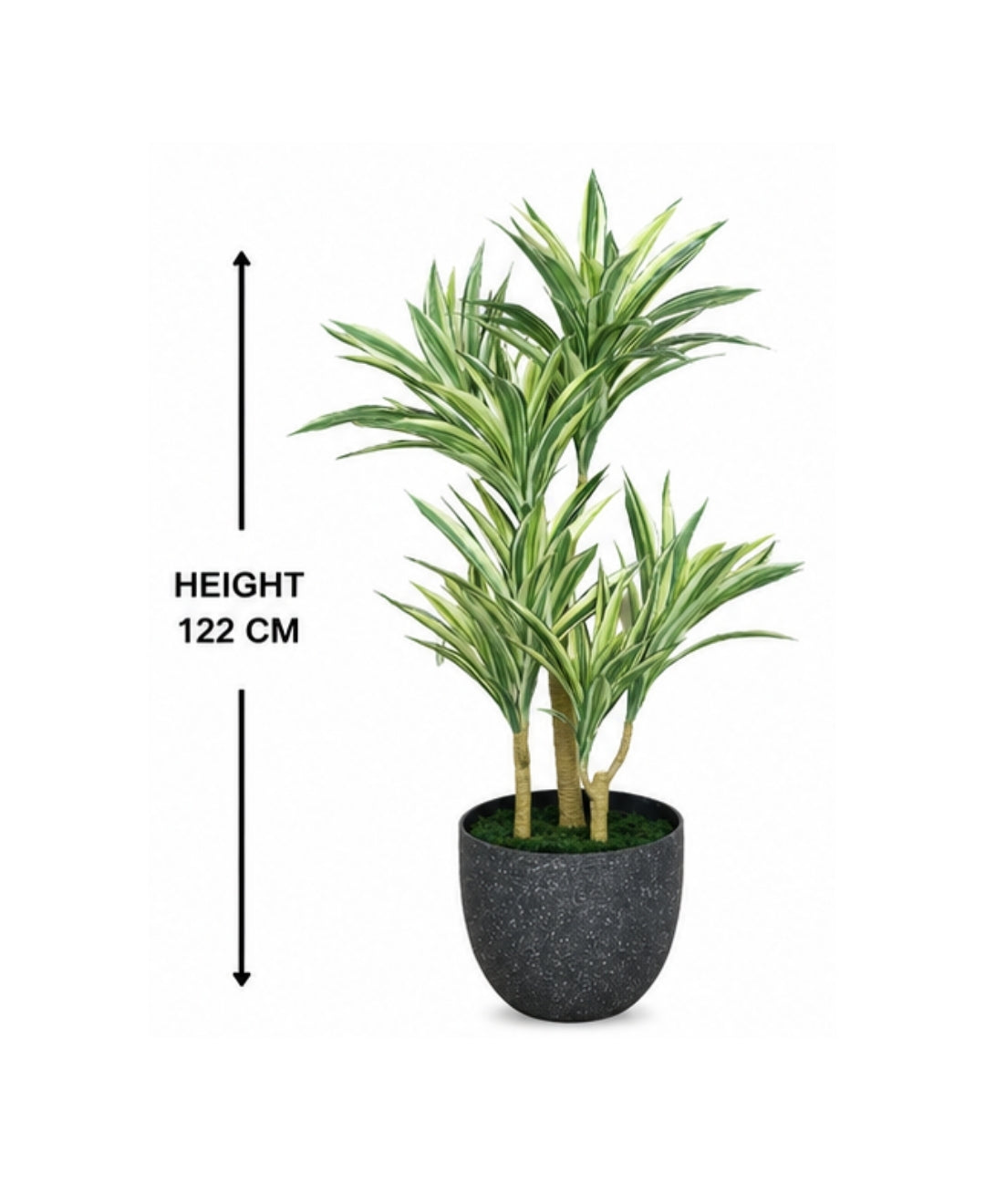 Majestic Faux White Green Dracaena Cane Plant Without Pot