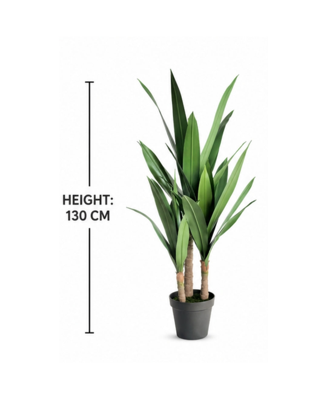 Premium Artificial Multi Stem Green Dracaena Plant With Pot