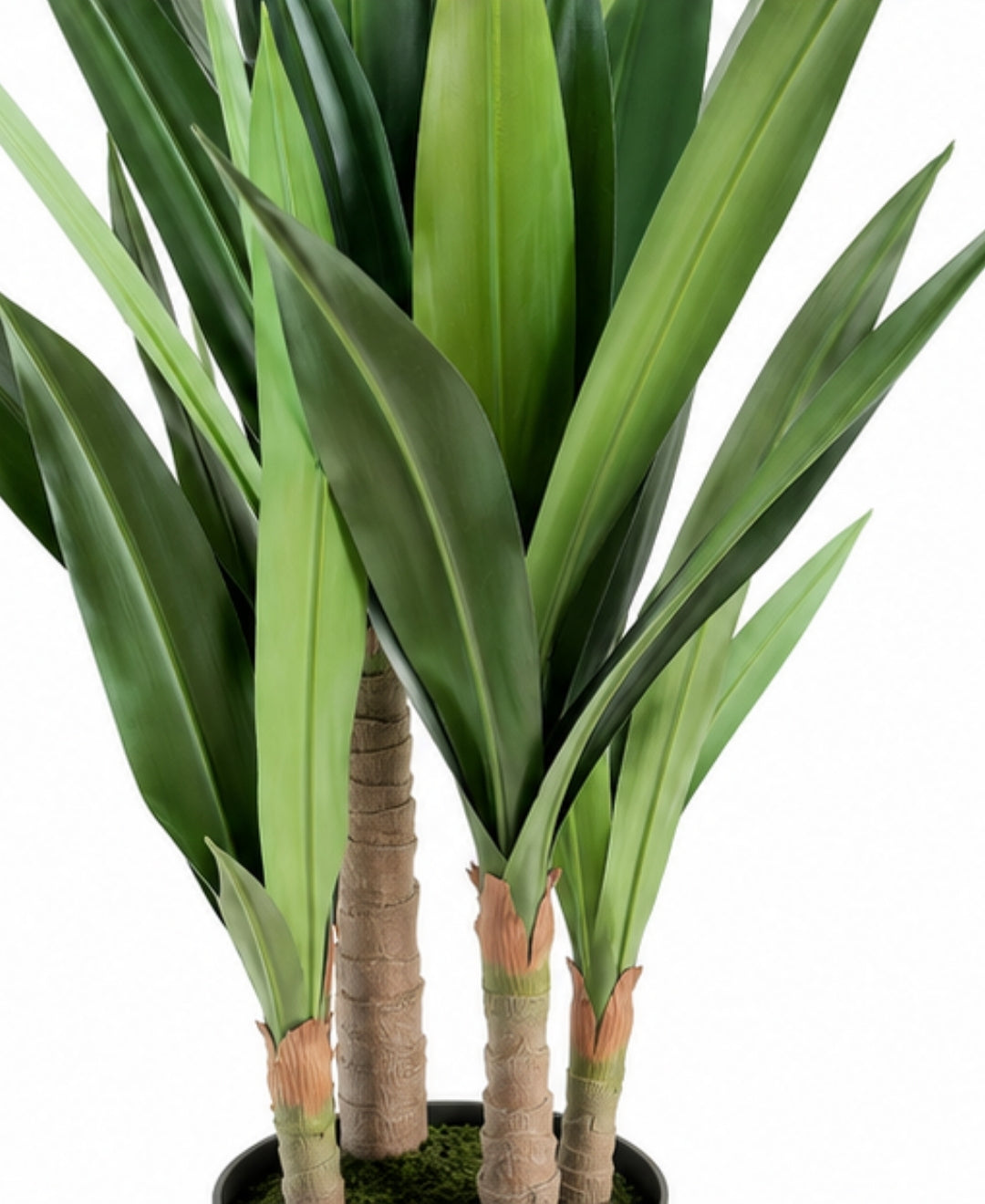 Premium Artificial Multi Stem Green Dracaena Plant With Pot