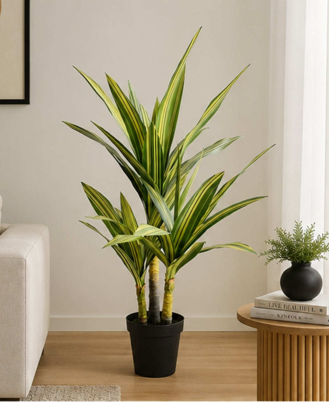 Premium Artificial Multi Stem Yellow Dracaena Plant
