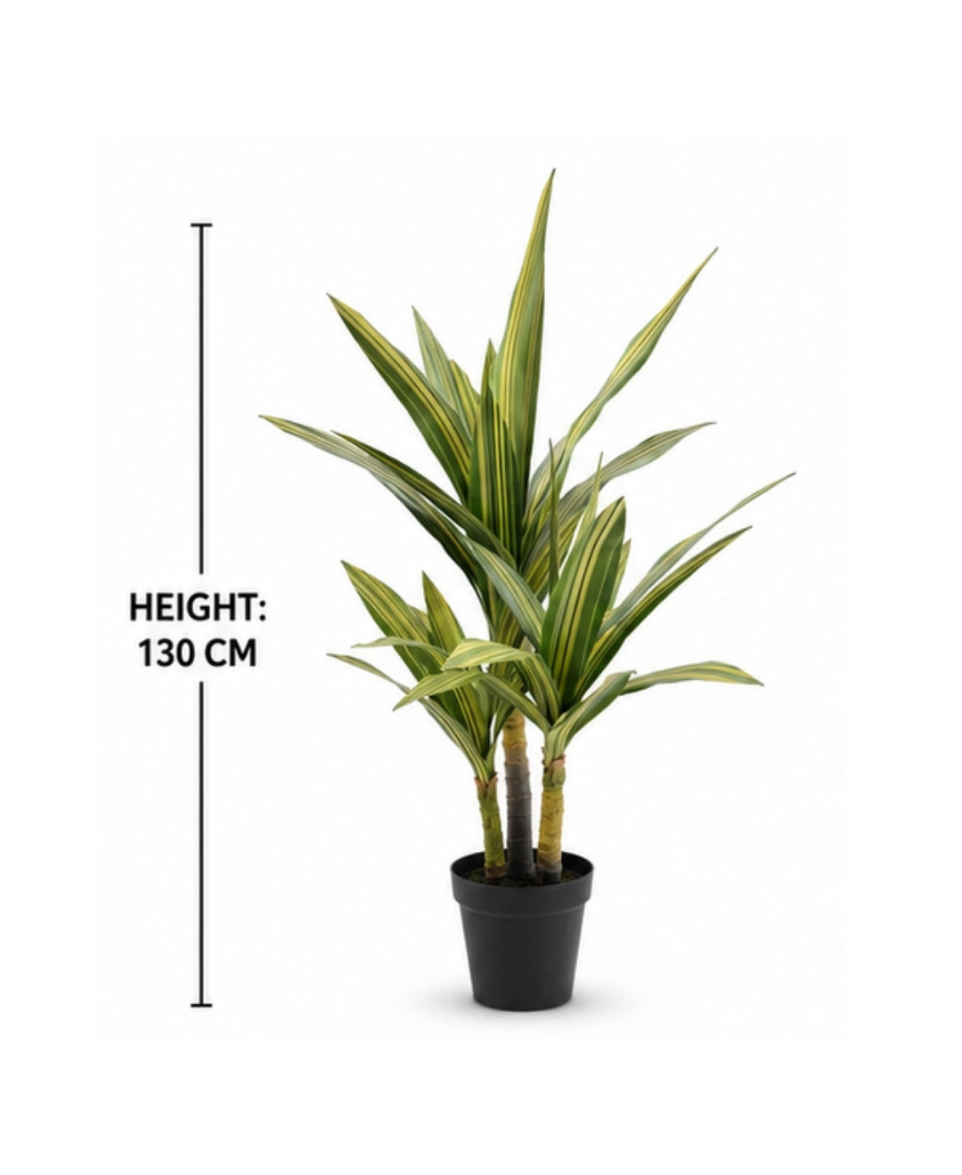 Premium Artificial Multi Stem Yellow Dracaena Plant
