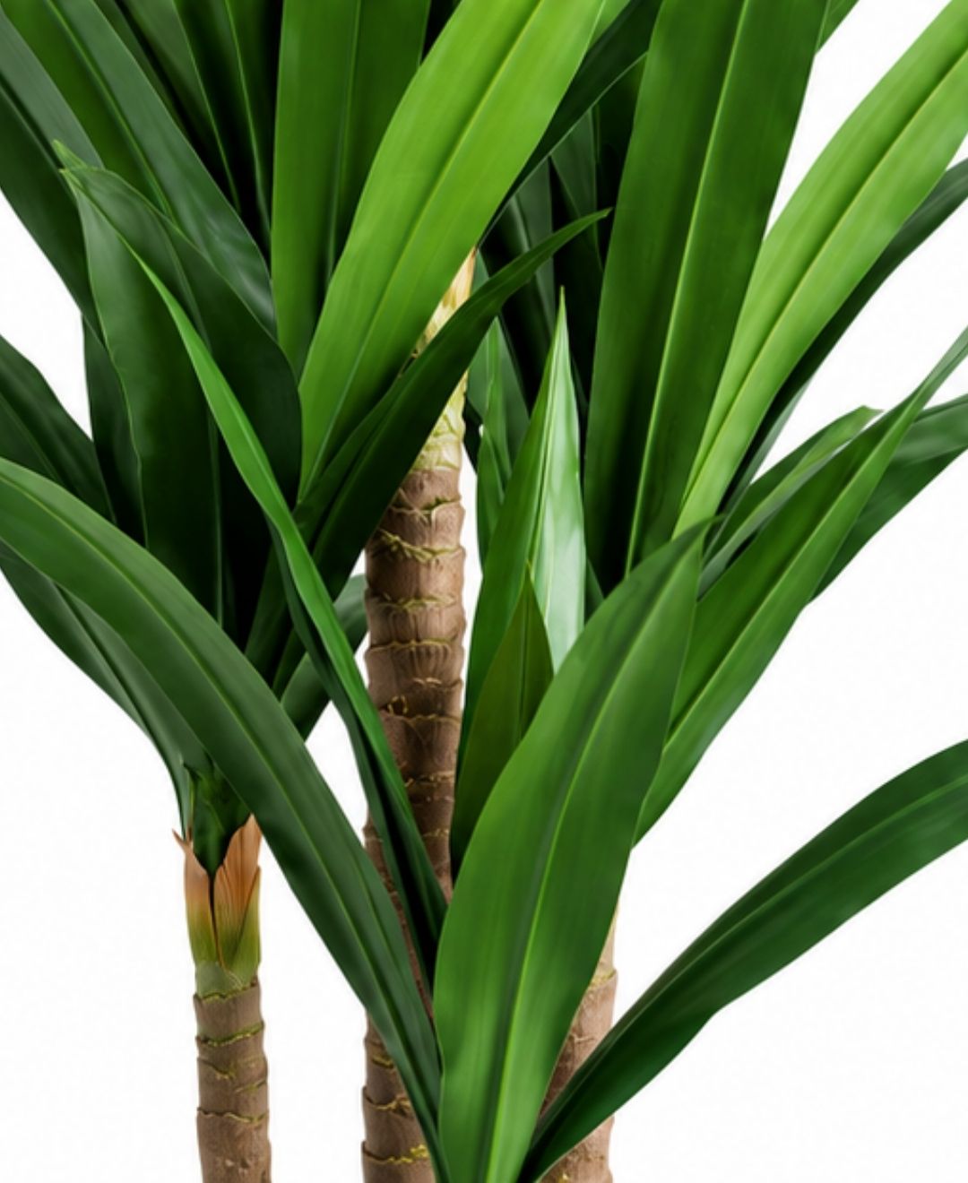 Lux Artificial Green Yucca Cane Plant With Pot- 5.5 FT