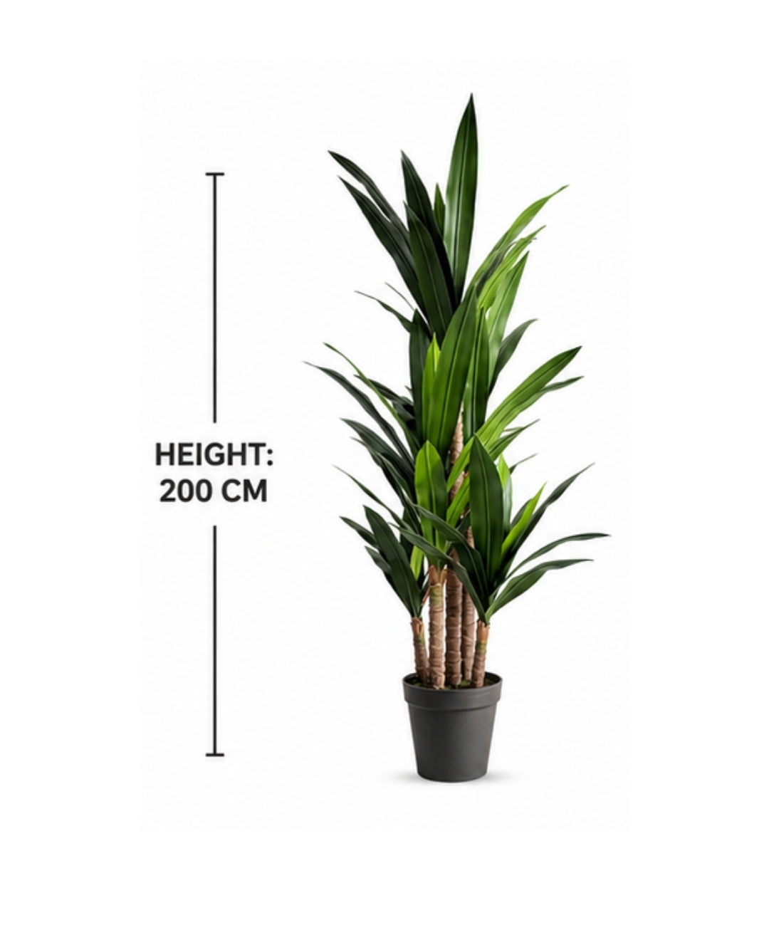 Luxury Artificial Multi Cane Dracaena Green Tree With Pot