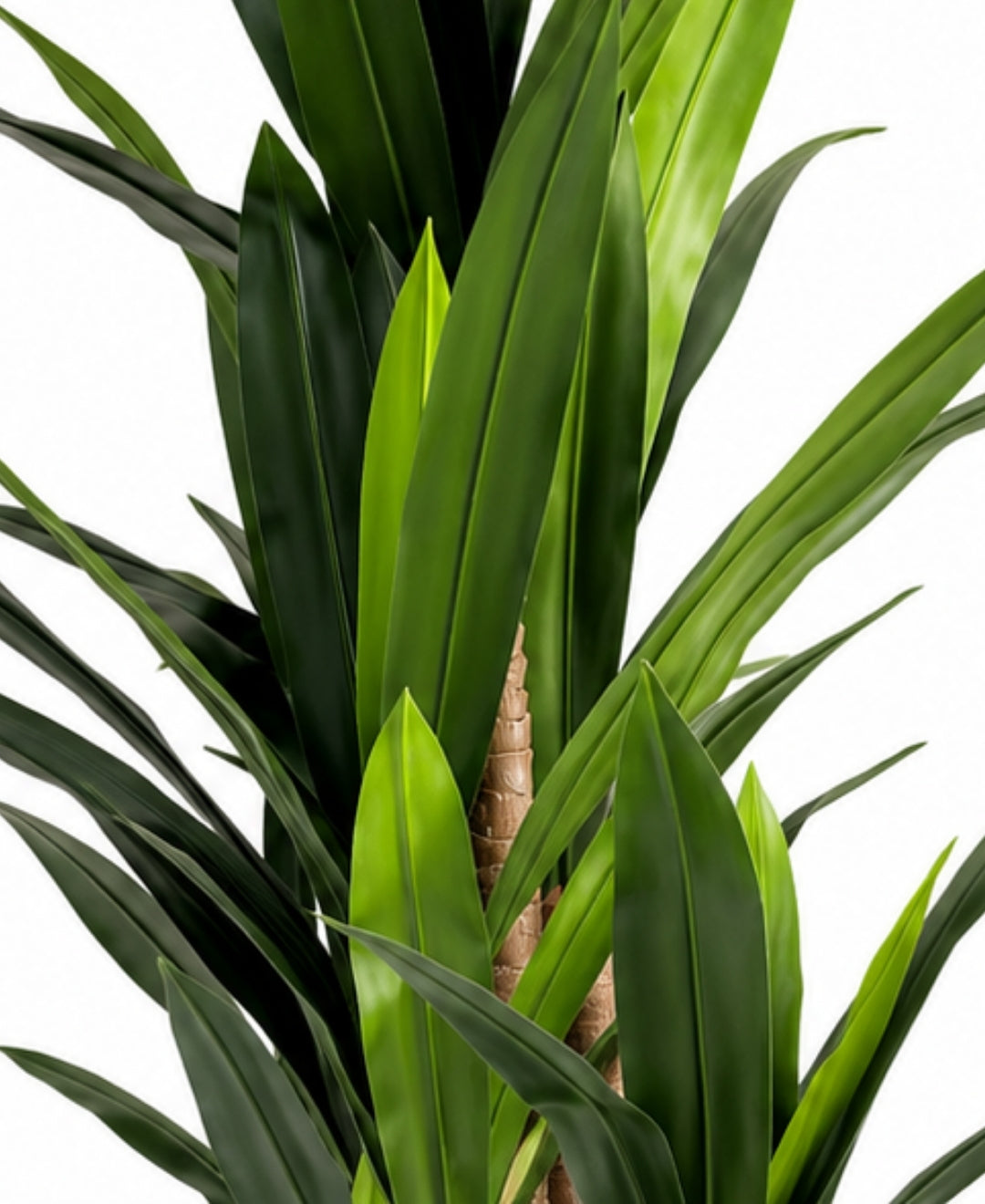 Luxury Artificial Multi Cane Dracaena Green Tree With Pot