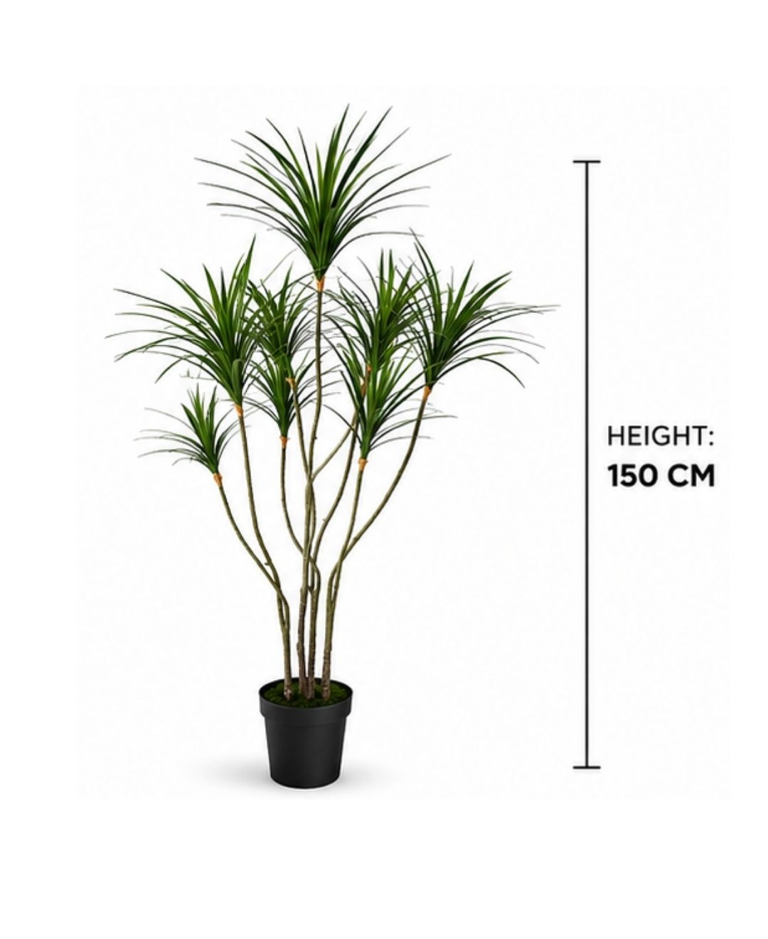 Premium Faux Dracaena Marginata Green Tree With Pot-5 FT With Pot